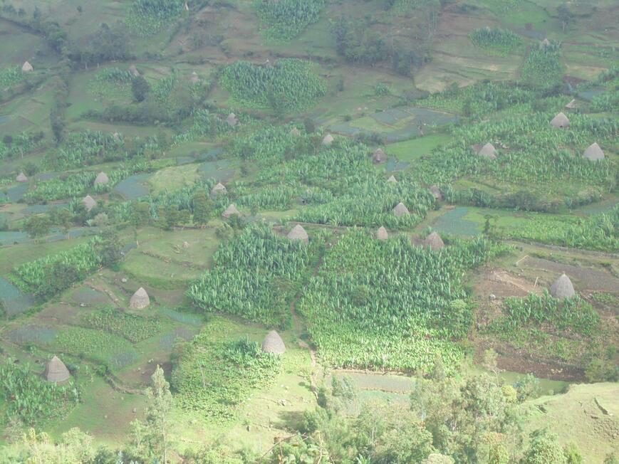 Zawiti Beshunchaara